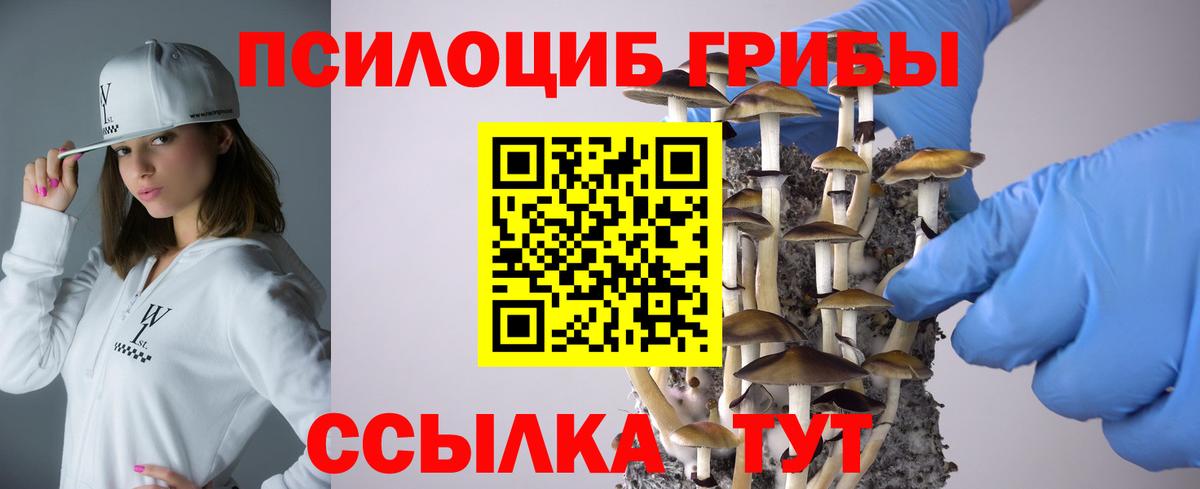 Псилоцибиновые грибы мицелий  Вход с VPN  Пыть-Ях 